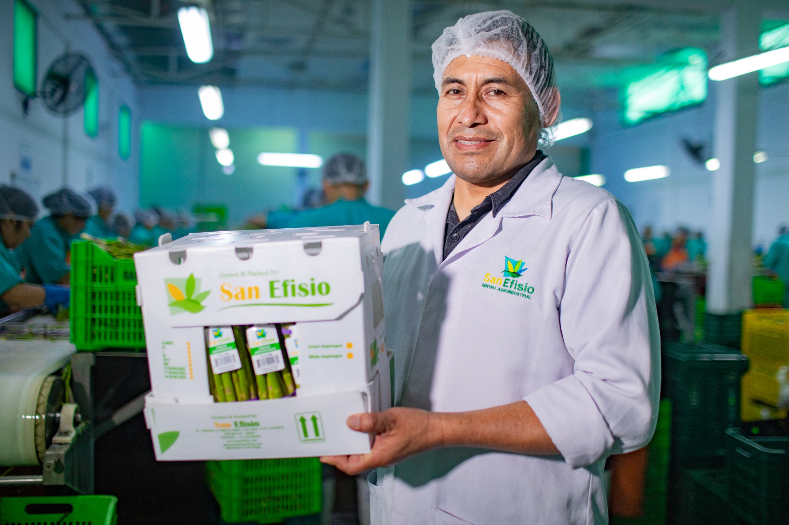 Calidad de exportación